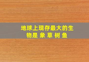 地球上现存最大的生物是 象 草 树 鱼